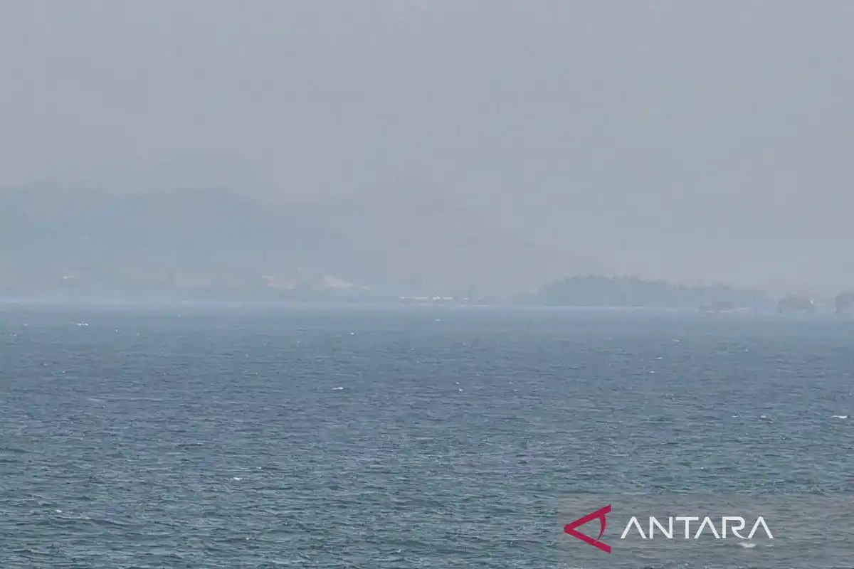BMKG Menjelaskan Kabut di Kota Jayapura Bukan Dampak Karhutla