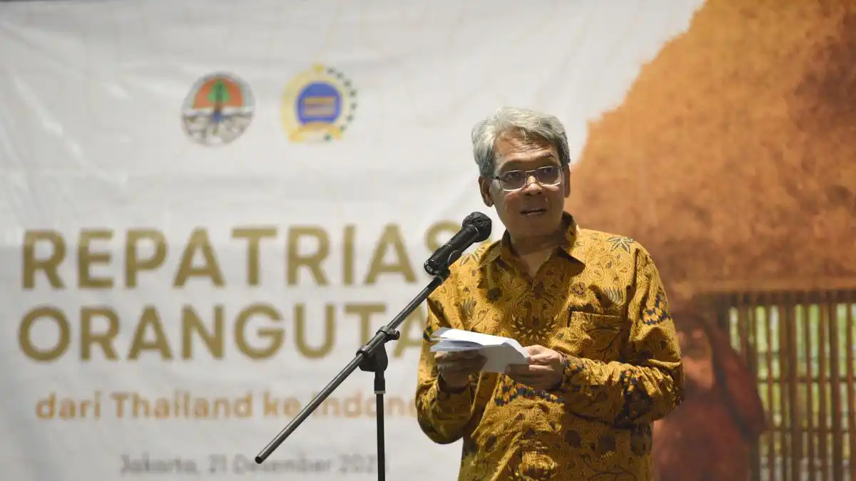 Satyawan Pudyatmoko Diproyeksikan Memimpin Badan Gambut dan Mangrove Nasional