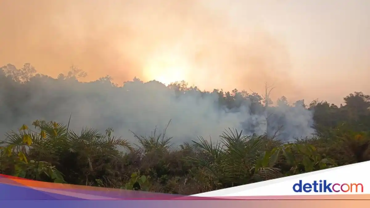 Pemerintah Masih Tangani Karhutla, Status Bencana Nasional Belum Ditetapkan