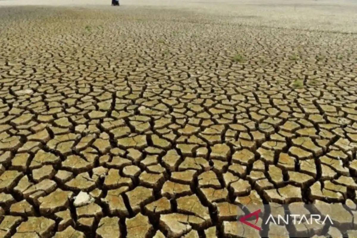 El Nino Sangat Kuat di Kaltim, Awal Musim Hujan 2026–2027 Diperkirakan Mundur