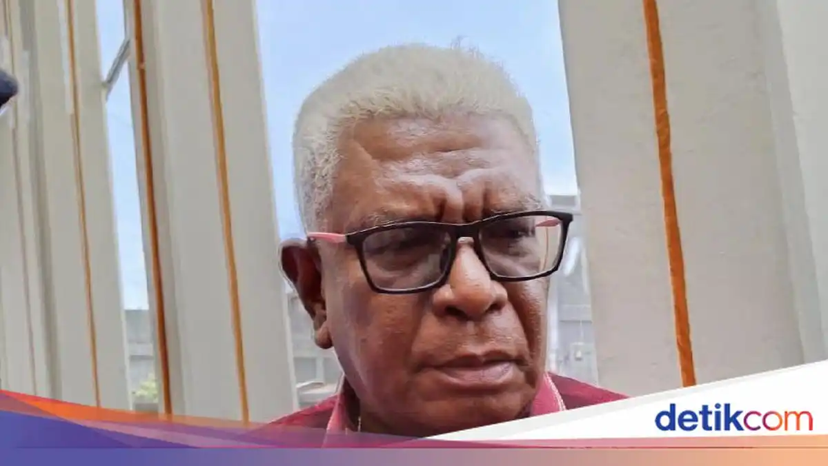 Kabut Asap Karhutla Merauke Menyelimuti Mimika, Pemerintah Pusat Diminta Bertindak