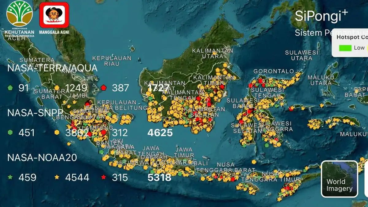Karhutla di Kalteng dan Sumsel Capai 343,55 Hektare, Asap Ganggu Jarak Pandang