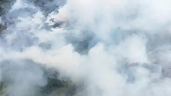 Kebakaran Karhutla di Enam Provinsi Capai 639,23 Hektare, Tanjung Puting Terparah