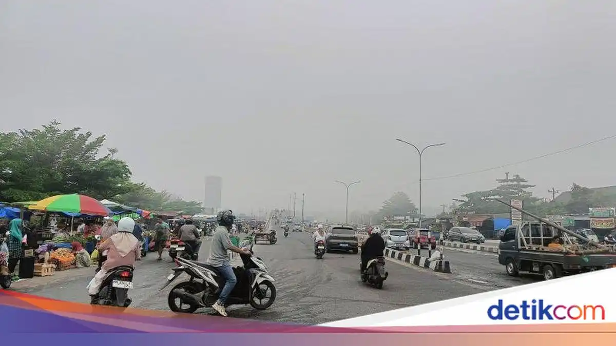 Lonjakan Titik Panas Sumatera Capai 3.663, Asap Riau Ganggu Penerbangan