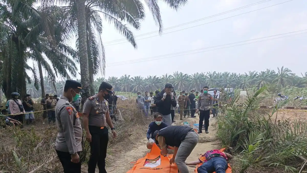 Polisi Ungkap Identitas Perempuan yang Ditemukan Meninggal di Perkebunan Sawit Mesuji