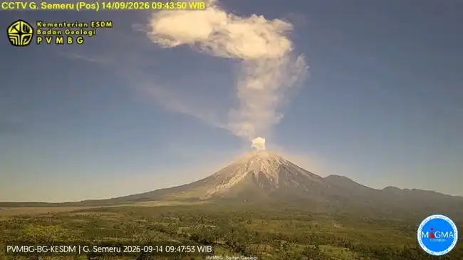 Erupsi Semeru pada 14 Oktober 2026, Kolom Abu Mencapai 3.876 Meter