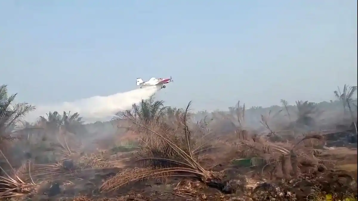 Pemadaman Karhutla di Mesuji Dibantu Pesawat dari Udara