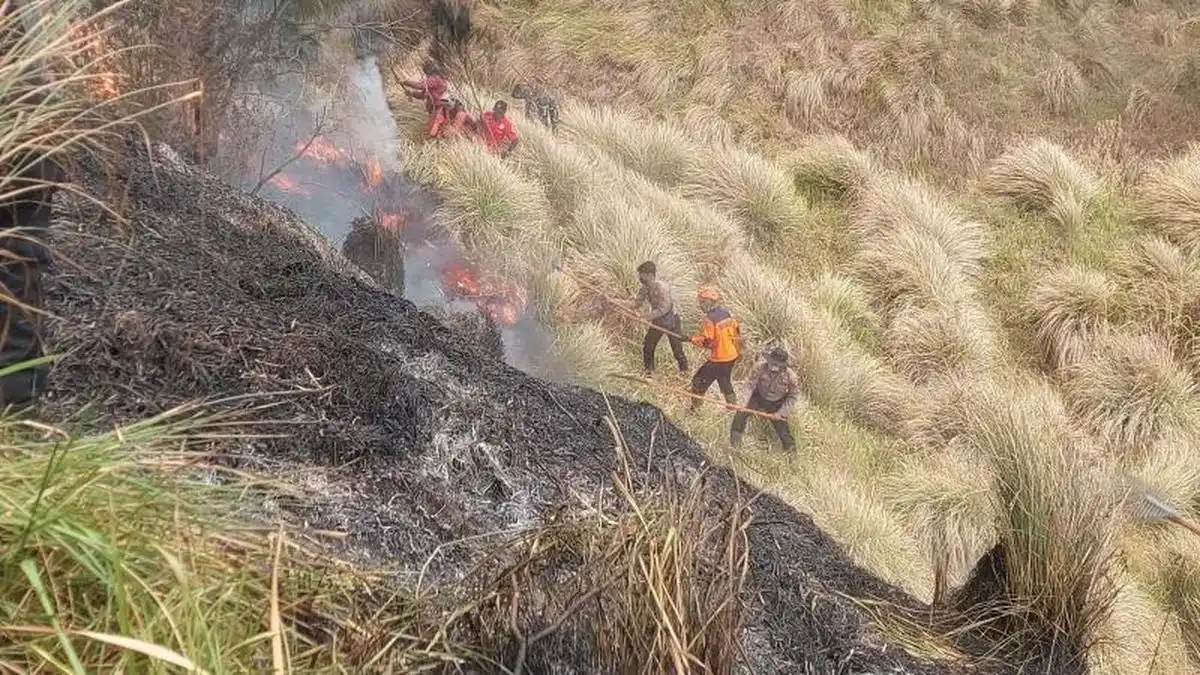 Kebakaran di Kawasan Bromo Tewaskan Tiga Orang Saat Upaya Pemadaman