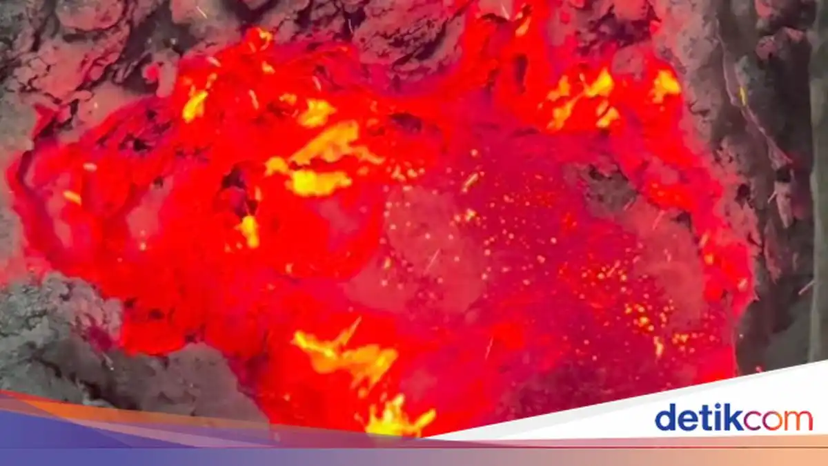 Asap Karhutla Mengkhawatirkan, Pemerintah Dorong Perusahaan di Kalimantan Turun Tangan