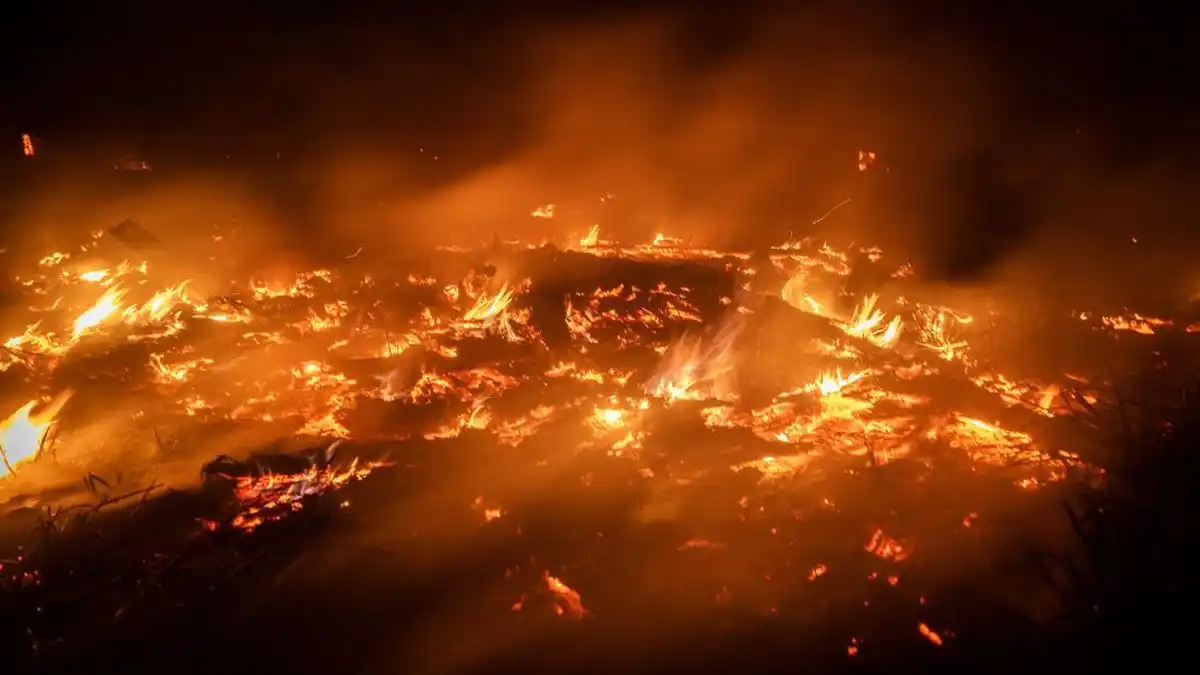 Kebakaran Lahan di Sidodadi Samarinda Merenggut Nyawa Pria 60 Tahun