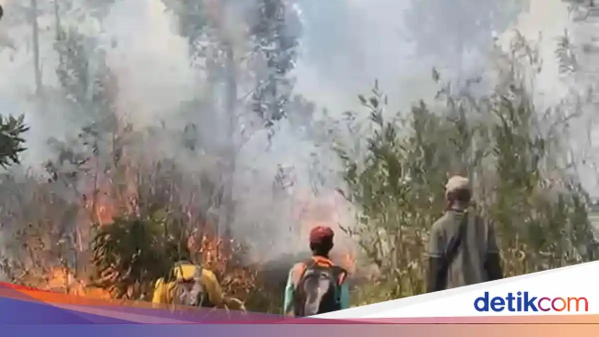 Tantangan BPGMN: Memadamkan Karhutla dan Memulihkan Gambut
