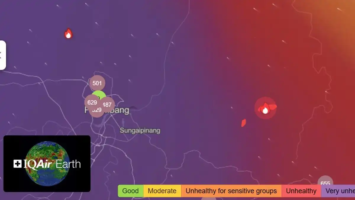 Asap Karhutla Tekan Kualitas Udara di Sejumlah Wilayah Indonesia