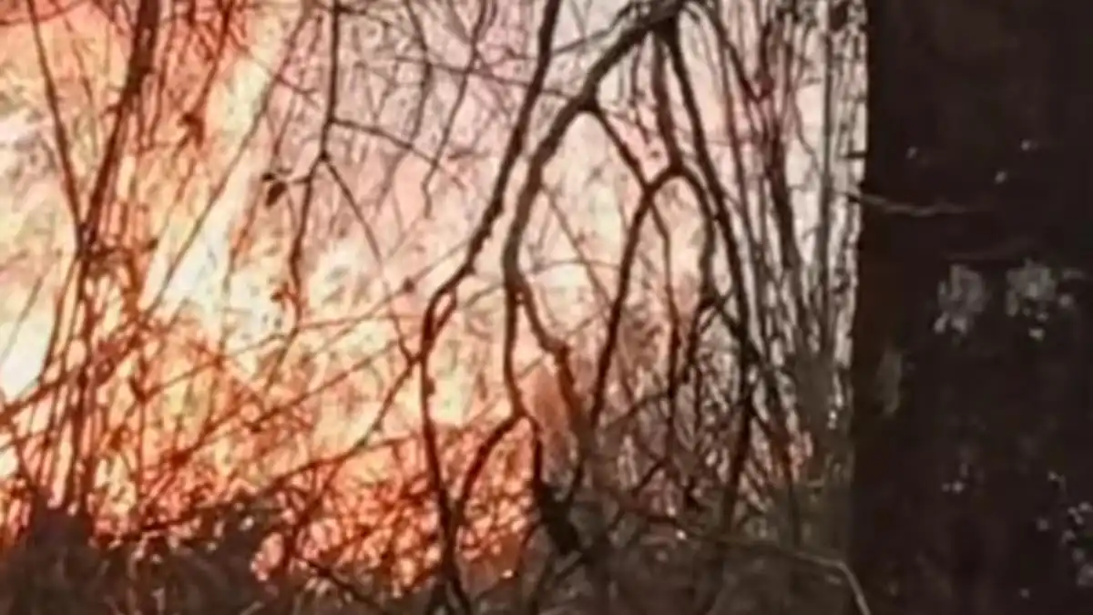 Kebakaran di Hutan Gondosuli Belum Terkendali, Relawan Serukan Bantuan Terkoordinasi