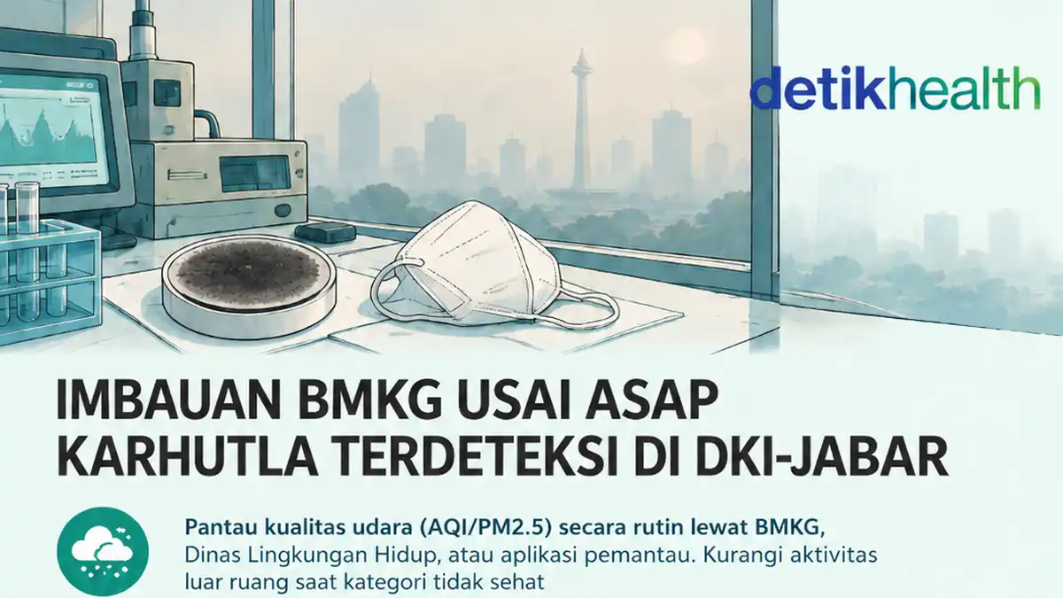 Asap Karhutla Terdeteksi di DKI, BMKG Minta Warga Waspadai Kualitas Udara