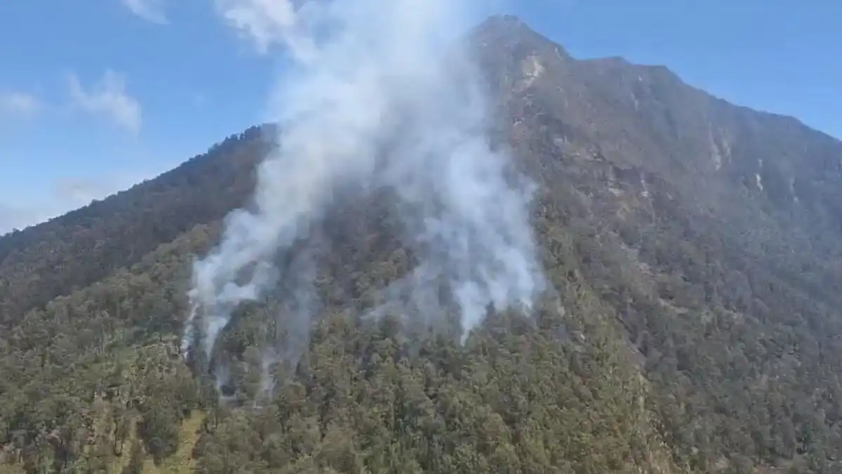 Kebakaran Kembali Terjadi di Gunung Arjuno, Tim Bergerak untuk Memadamkan Api