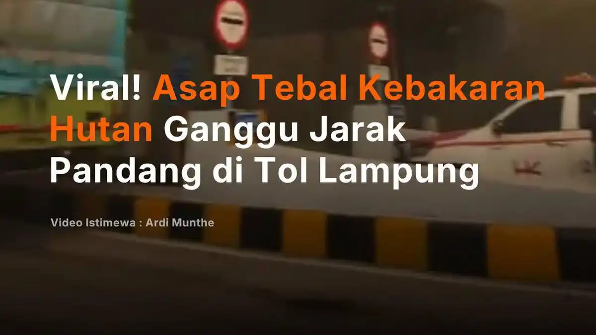 Asap Kebakaran Lahan Ganggu Pandangan Pengendara di Tol Terpeka