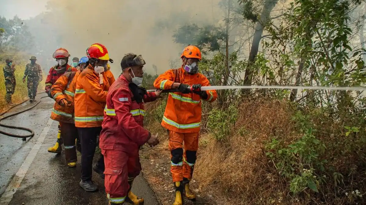 Dua Korban Kebakaran di Kawasan Bromo Dirujuk untuk Operasi Luka Bakar