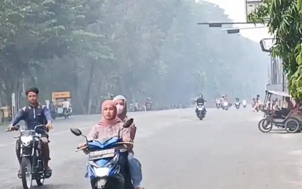 Kabut Asap Karhutla Sumsel dan Kalimantan Menjangkau Wilayah Sumatera Utara