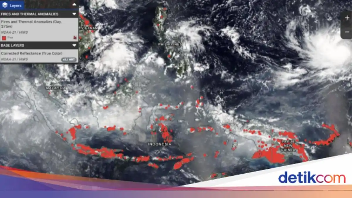 Pantauan Satelit NASA Tunjukkan Kebakaran Hutan dan Asap di Indonesia