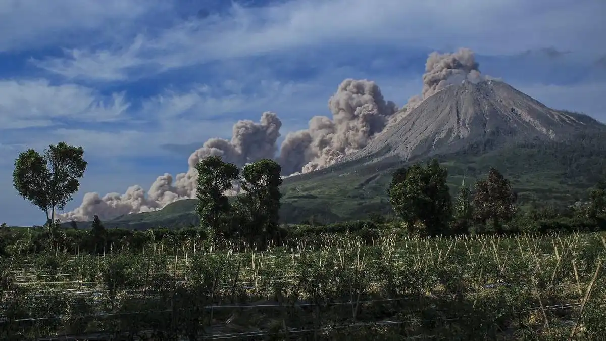 Status Sinabung Turun ke Level Radius Pembatasan Tetap Berlaku
