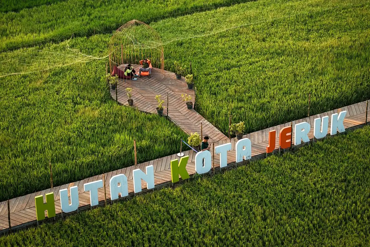 Hutan Kota Jeruk: Menjaga Sawah, Alam, dan Manfaat bagi Warga
