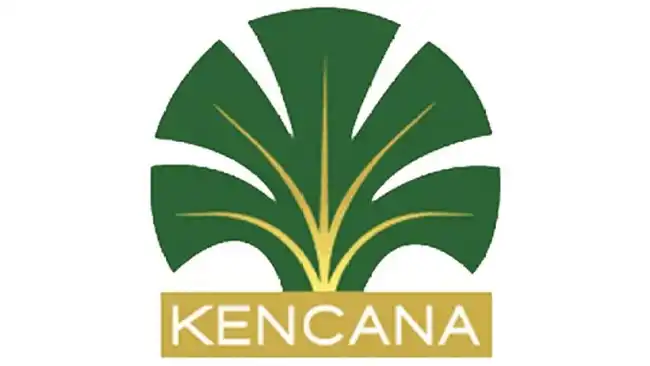 Kebakaran di Kalimantan Utara Diselidiki, Kencana Agri Sampaikan Posisi Perusahaan