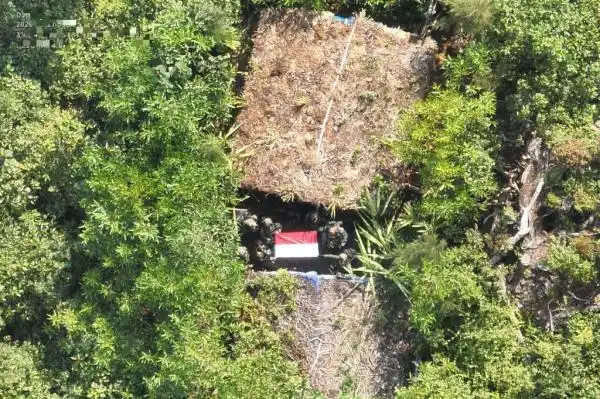 Penyisiran di Hutan Sugapa Temukan 559 Selongsong dan Komponen Senjata