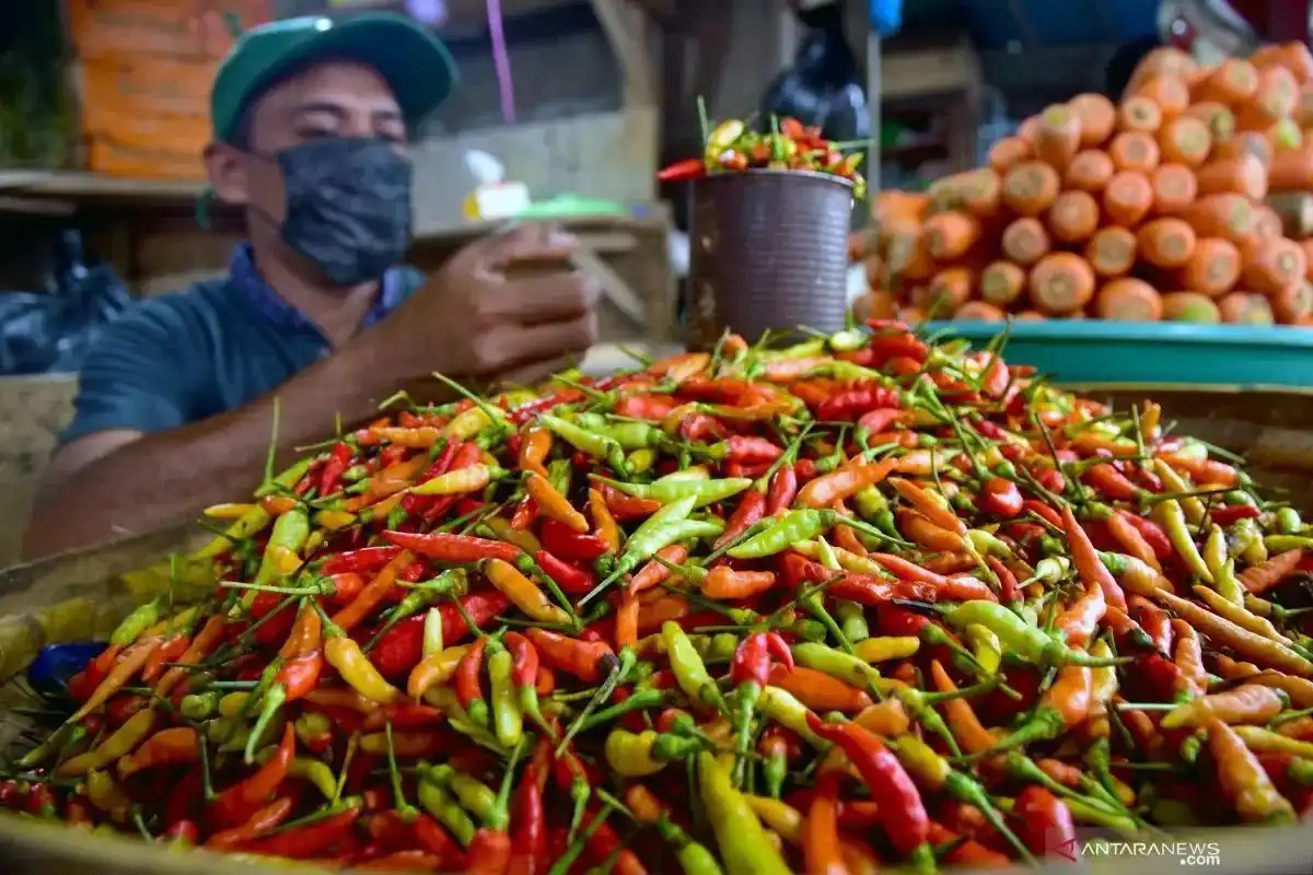 Peta Harga Pangan Nasional: Cabai Rawit Merah Tembus Rp100.800 per Kilogram