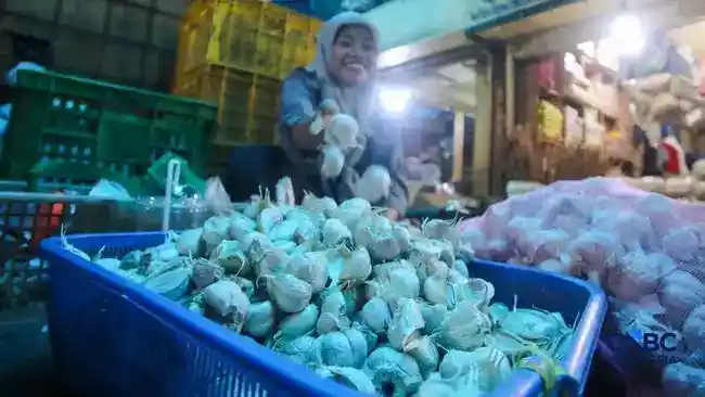 Empat Komoditas Pangan Masih Jadi Sasaran Swasembada Indonesia