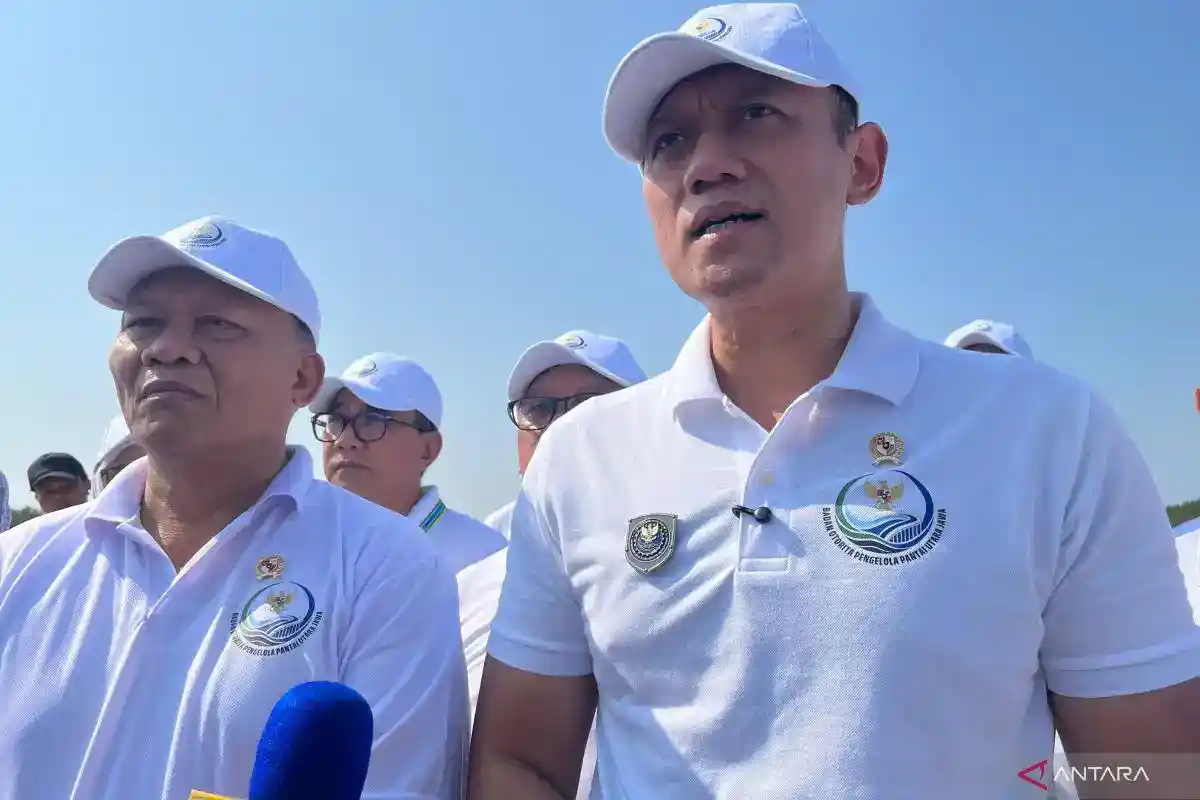 Rencana Tanggul Pantura: Perlindungan Pesisir dan Peran Mangrove