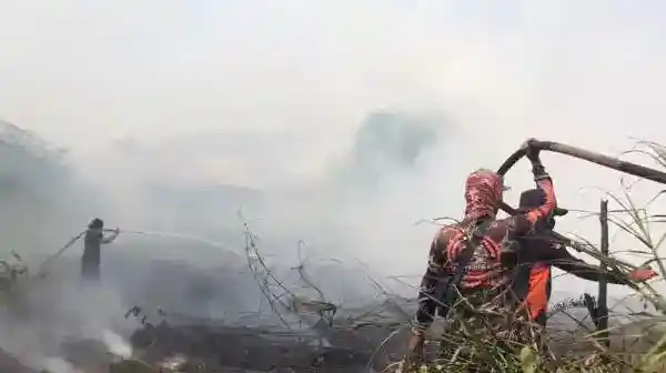 Api Gambut Kembali Muncul di Sampit, Pemadaman Terkendala Lalu Lintas