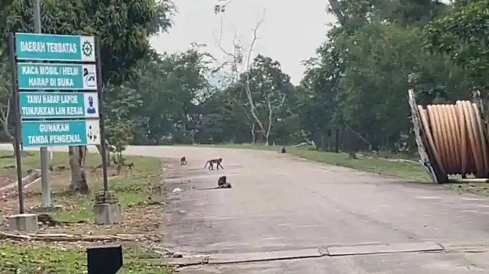Blackout Batam-Bintan: Lima Orang Jadi Tersangka, Penyidik Ungkap Rangkaian Gangguan Gardu