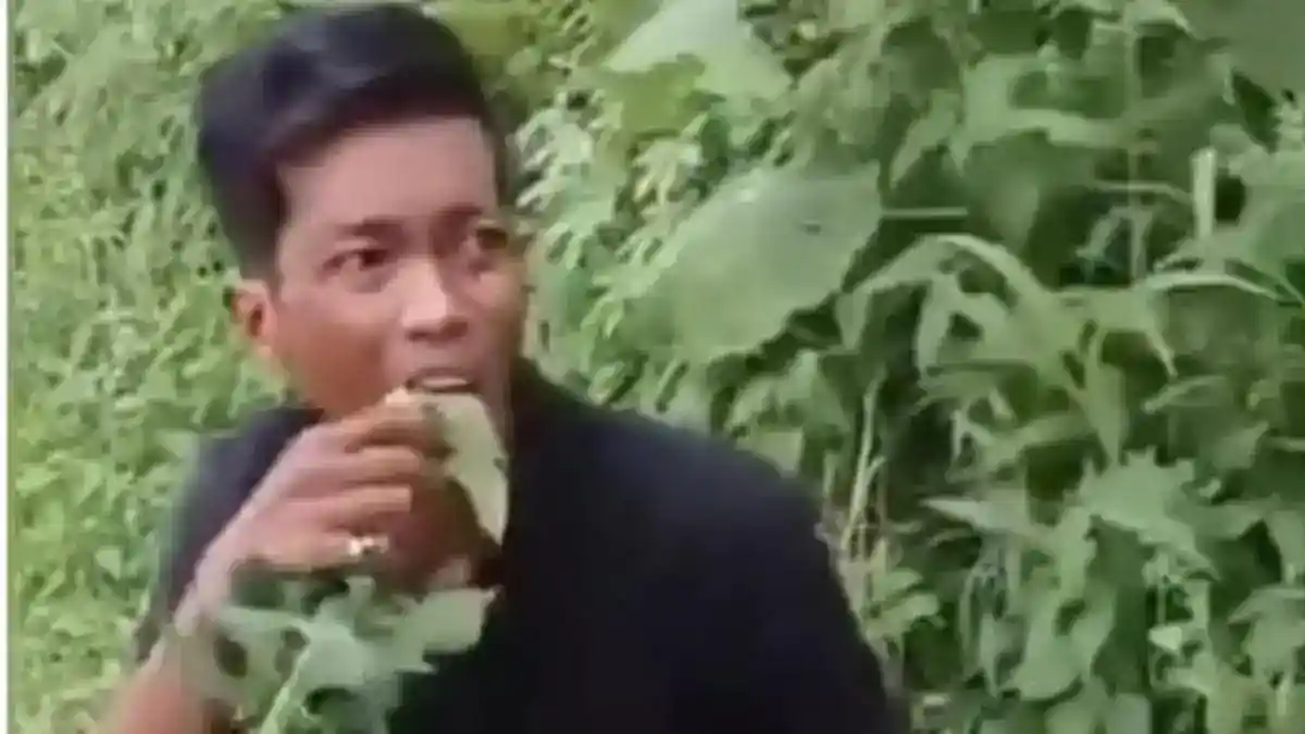 Dugaan Pencurian Pepaya di Deli Serdang Berujung Aksi Warga