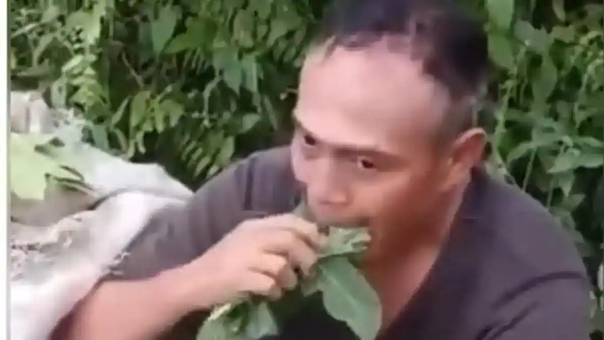 Dugaan Pencurian Daun Pepaya di Deli Serdang Berakhir dengan Mediasi
