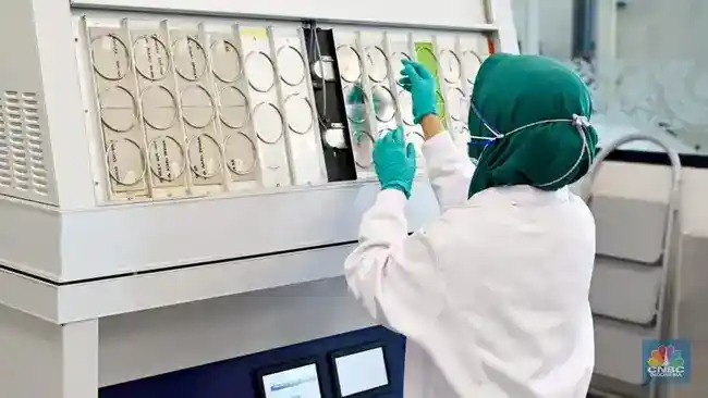Robert Christian Tanoko Tambah Porsi Saham Avia Lewat Dua Transaksi