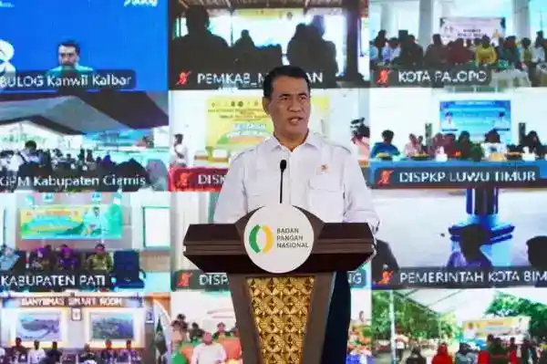 Cadangan Beras Pemerintah Menguat untuk Mengantisipasi Ancaman El Niño