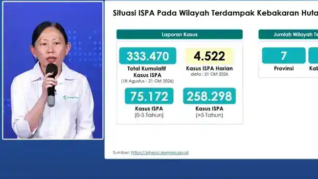 Kabut Karhutla Memburuk, Ratusan Ribu Kasus ISPA Tercatat di Wilayah Terdampak