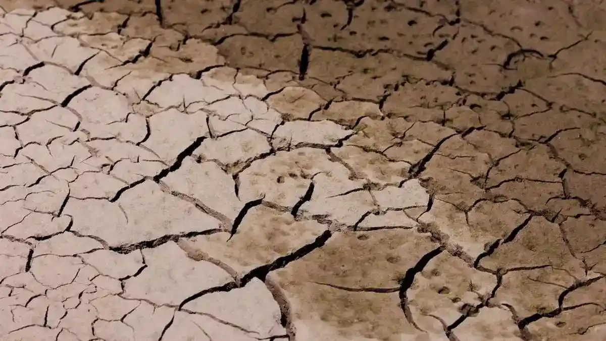 El Niño Dangkalkan Sungai, Distribusi BBM Beralih ke Jalur Darat