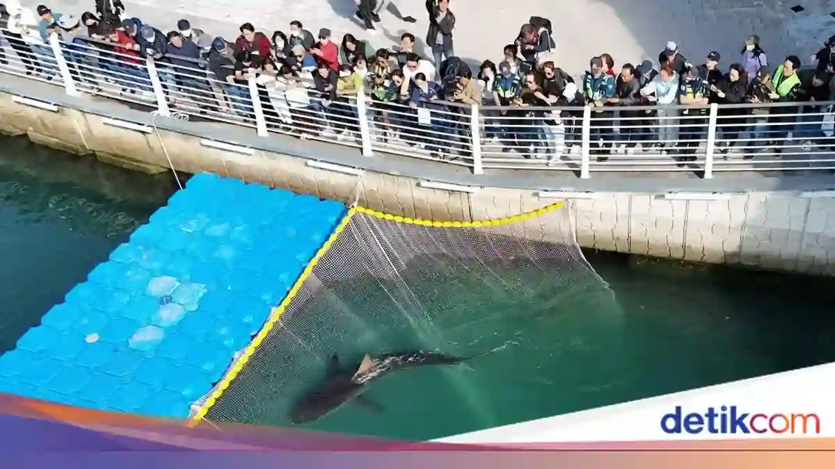 Bukangi Keluar dari Kanal Busan Setelah Tiga Kali Upaya Penyelamatan