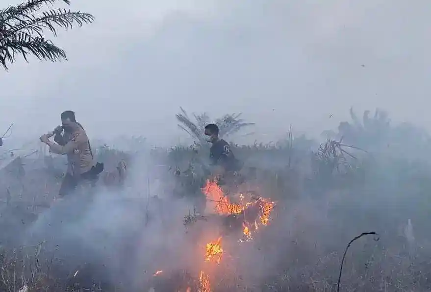 Ribuan Fasilitas Kesehatan Disiagakan Saat Kasus ISPA Terkait Karhutla Menembus 333 Ribu