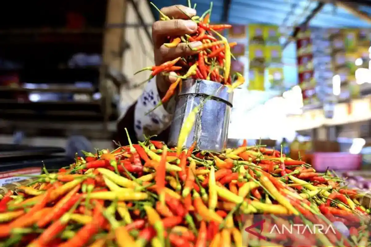 Catatan PIHPS: Cabai Rawit Merah Rp105.750 per Kilogram