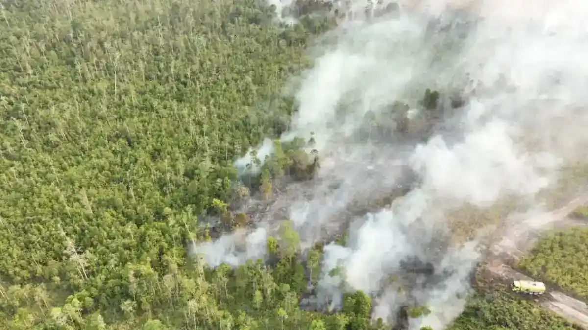 Korban Jiwa Karhutla di Kawasan Bromo Bertambah Menjadi Enam