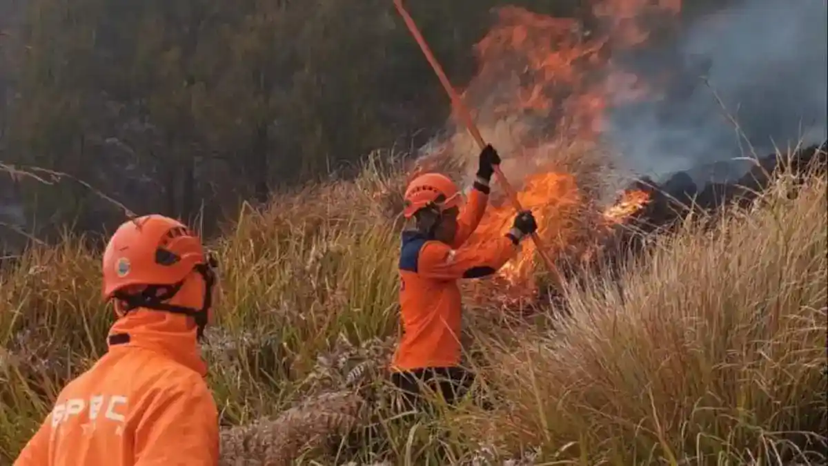 Korban Jiwa Kebakaran Bromo Genap Enam Setelah Suraji Meninggal