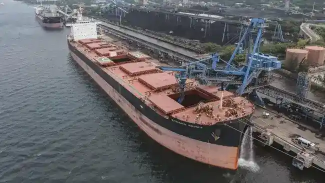 PTBA Kaji Opsi Buyback Saham di Tengah Penguatan Kinerja Semester I 2026
