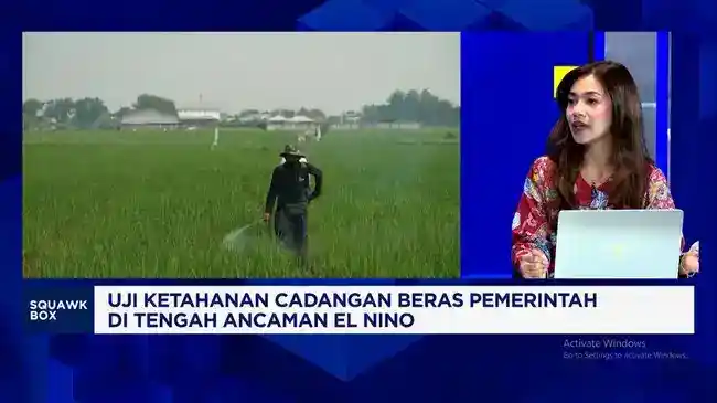 Cadangan Beras Pemerintah Mencapai 4,8 Juta Ton, Apa Artinya bagi Petani?