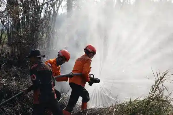 Daniel Johan Dorong Revisi UU Kehutanan untuk Atur Pelaku Karhutla