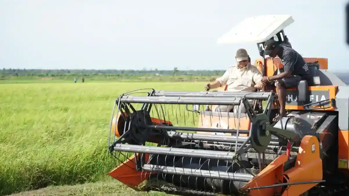 Dari Pembukaan Lahan ke Produksi: Menguatkan Program Sawah di Merauke