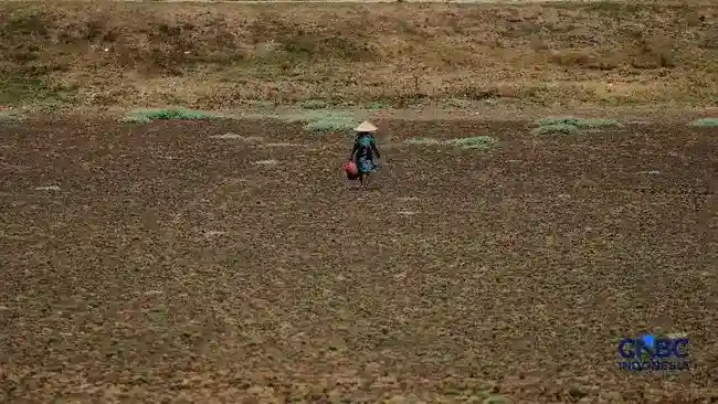 El Niño dan Ancaman Panas Ekstrem: Indonesia Diproyeksikan Catat 19.251 Kematian Tambahan