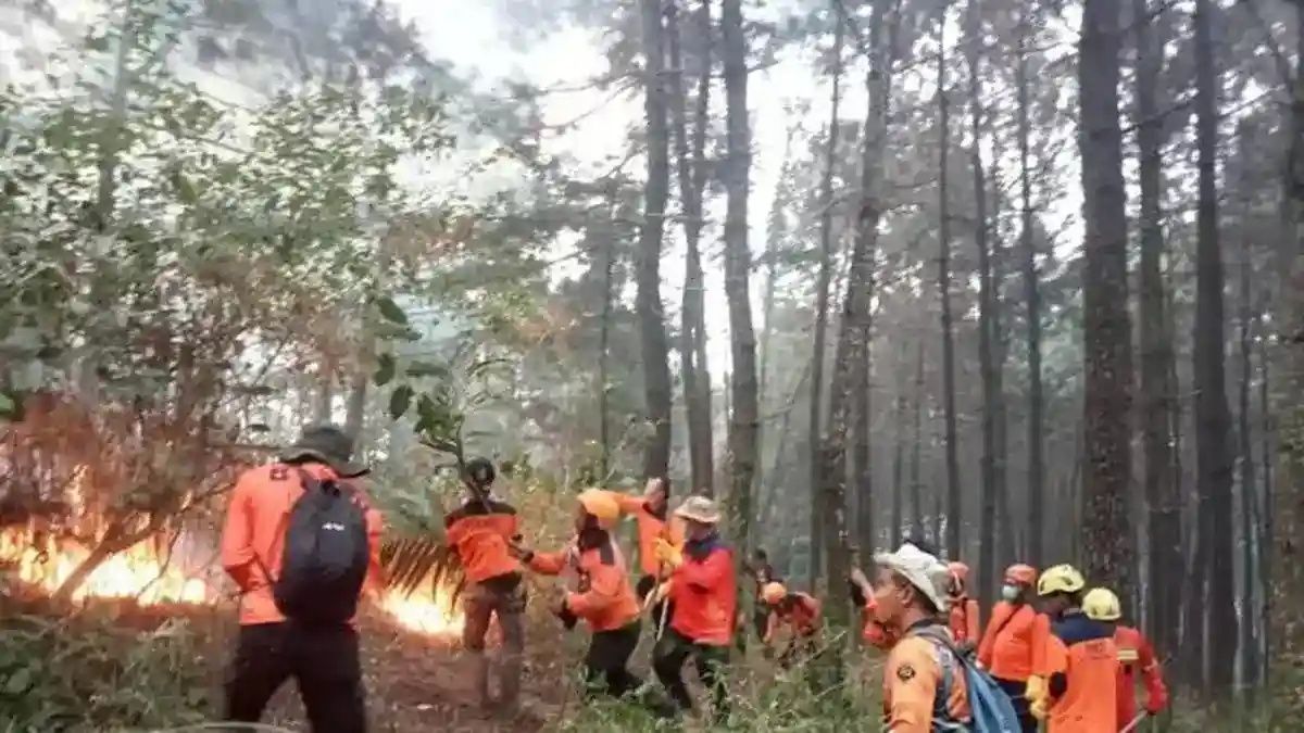 Satu Titik Api Masih Terdeteksi di Kawasan Gunung Lawu