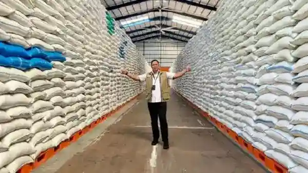 Cadangan Beras Indonesia Capai 4,5 Juta Ton, Jauh di Atas Stok Malaysia dan Filipina